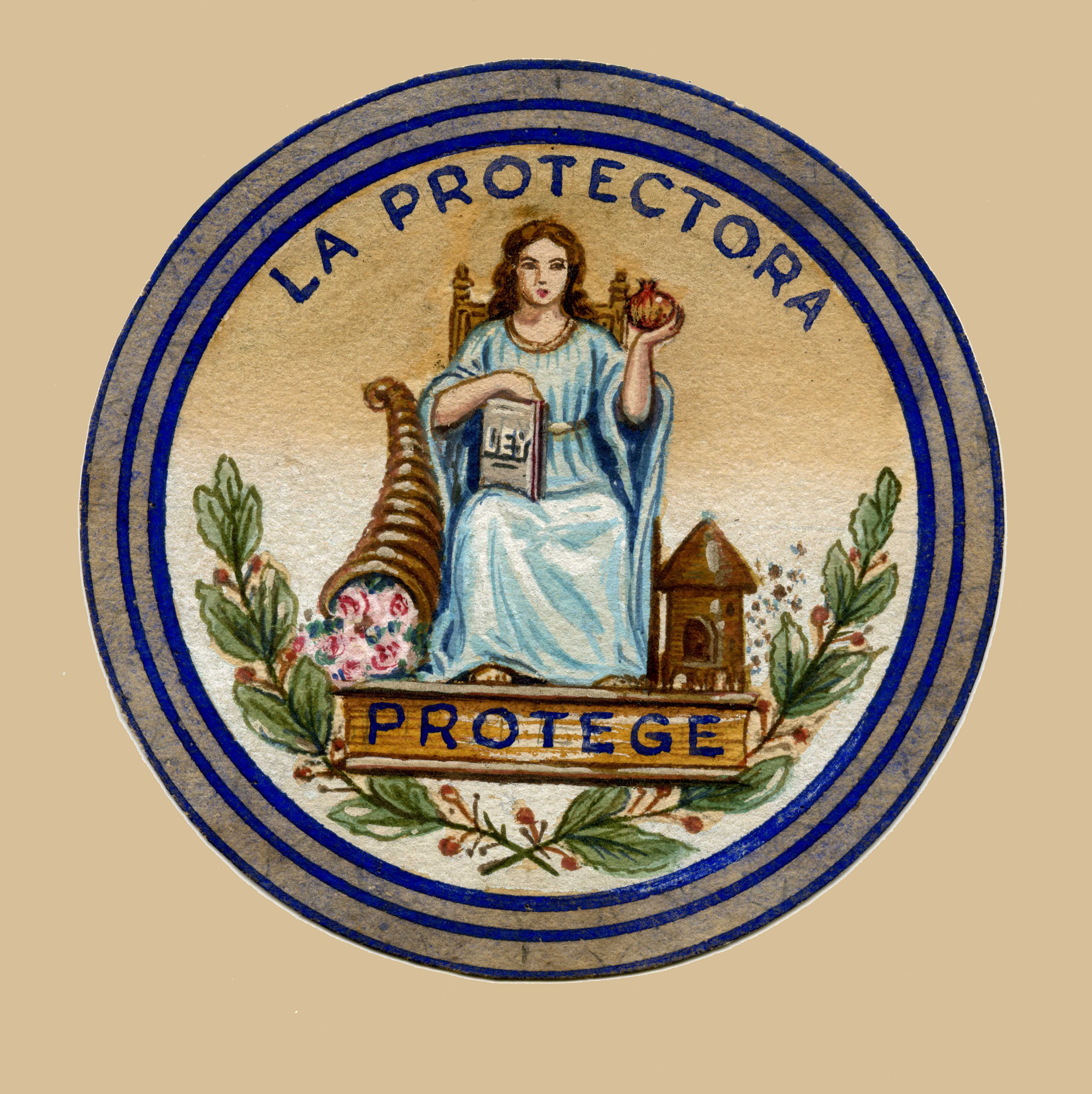 escudo la protectora color